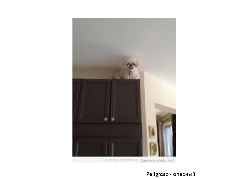 Peligroso - опасный